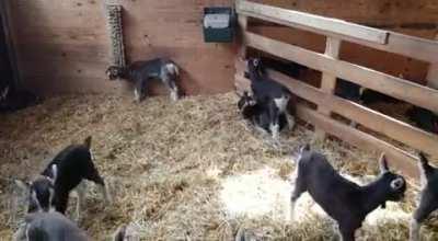 Frühling ist die beste Jahreszeit um Mama auf der Arbeit zu besuchen.