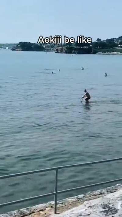 Casual day at Grandline