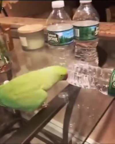 He feels very accomplished