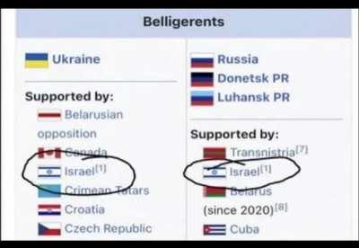 ClumsyKitty - Video #4980