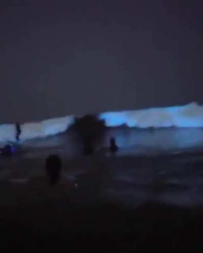 Glowing sand beach in the Maldives