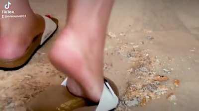 Birkenstock biscuits crushing.