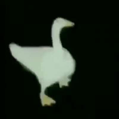 Me when i trove vegito blue