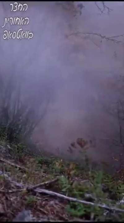 Hezbollah fighter was taken out by the IDF on the Lebanese-Israeli border