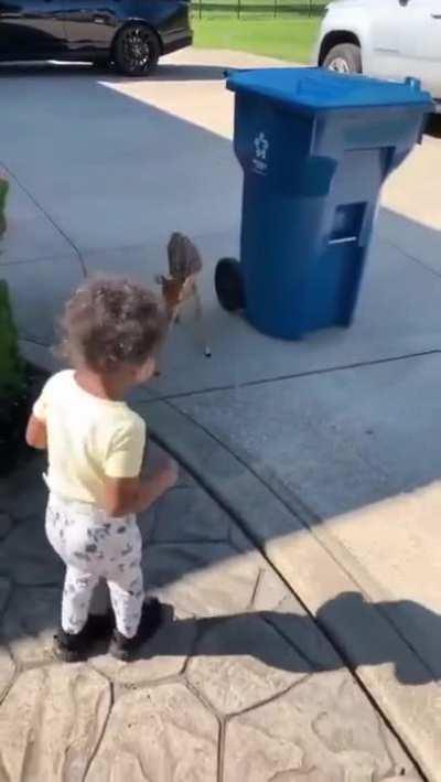 Sometimes life presents us with unexpected encounters...