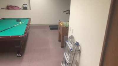 Secret door for the gaming room