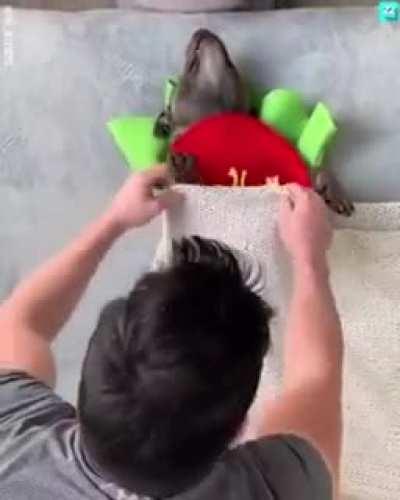 sICk FucK coOKs dOg ANd eAts hIm