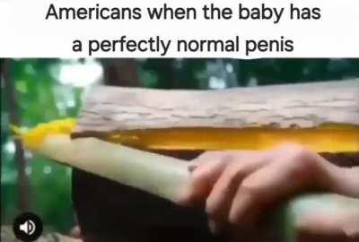 United Snips of America