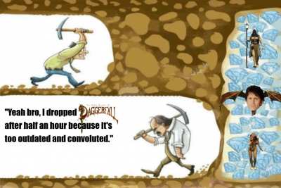 The Daggerfall Agenda(I have never finished the game)