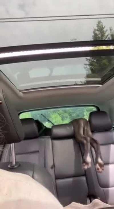 I’ll just act nonchalant, maybe she’ll think I meant this.