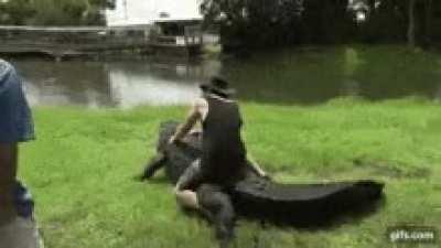 Humans love to ride other sapients, just not in the way that the aliens want.