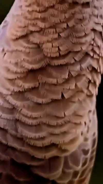 Excuse me, what are you looking at?