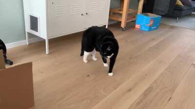 What’s in the box?!