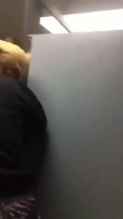 The Pee adds poison damage.