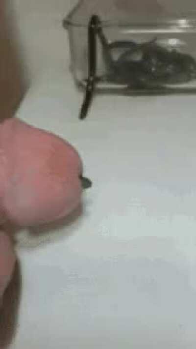 How to spend a saturday