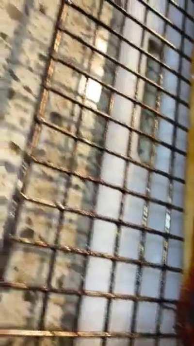 I should quit my Road Construction job and buy a Food Truck