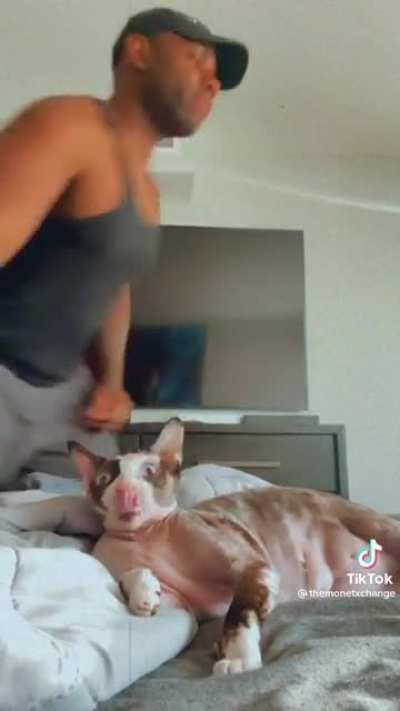 Not Monet participating in El Festival Gastronomico del Gato a month after it’s supposed to happen/s…