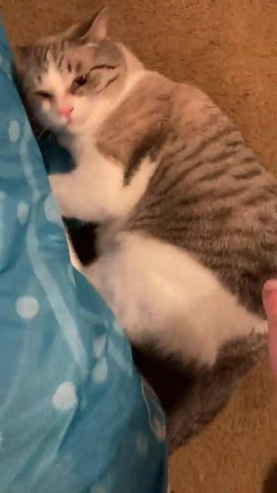 I love the kickies 😂 