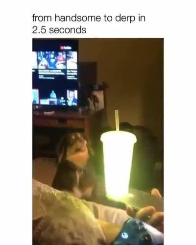 Glowing Shake
