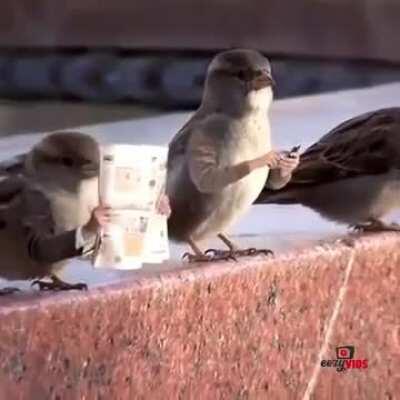 If animals had human arms and habits