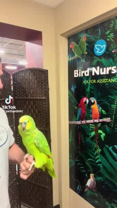 So I gotta be quite fast?