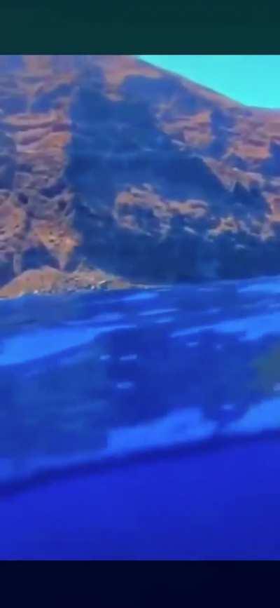 the fact that something could just be there and not know it is terrifying