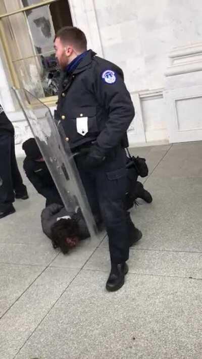 Insurrectionist gets arrested trying to break into US Capitol