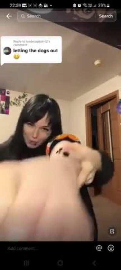 letting the dogs out