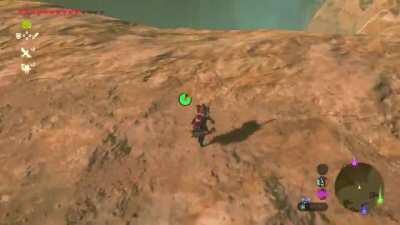 Oh pretty flowers.. OHMYGOD NO