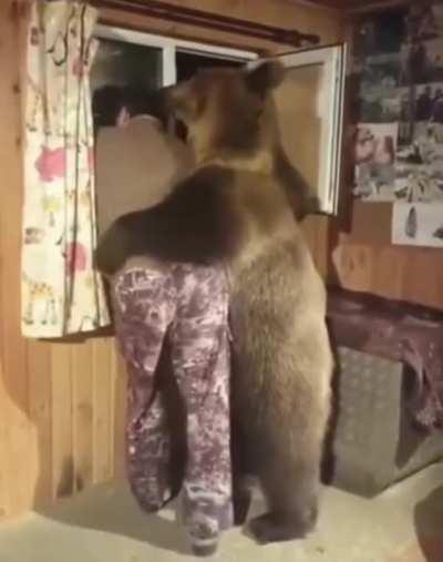 Bear being a bro