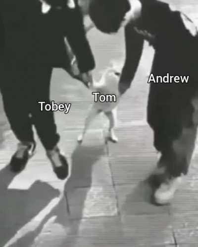 NO SPOILERS - Tomorrow's going to be awesome