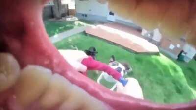 Oh my , kill it with fire