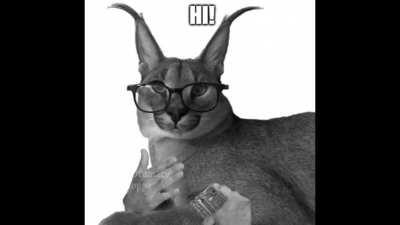 another one of these i guess