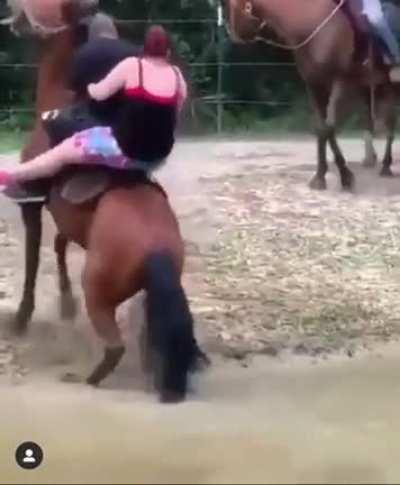 HMF while my fatass girlfriend and I break this horse’s back