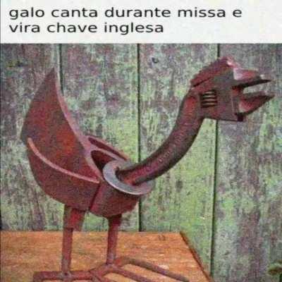 galo