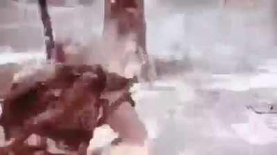 When your friend says he mains gryphon