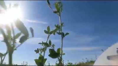 Ivan getting shot down in Ukraine. Go Pro footage of ejection and aftermath. Get fucked RuZZia.