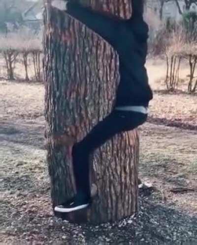 Enigma of Amigara Fault