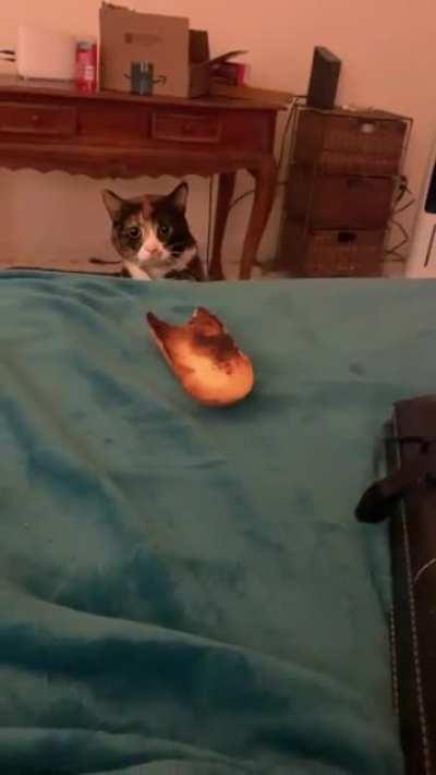 I was told to this sub might like my silly girl.