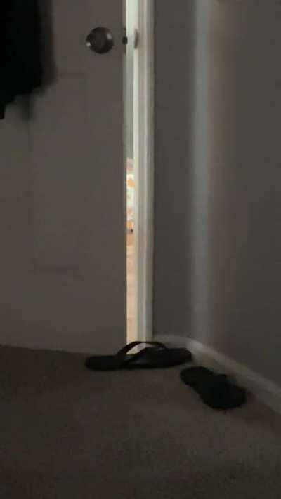 At least 2 orange brain cells is required to enter the bedroom