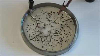 Self-Assembling Wires...