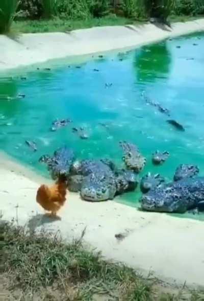 🔥 Nerves of steel