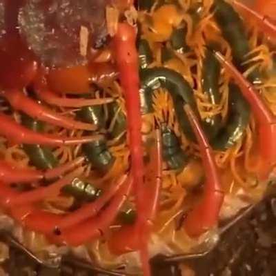 Momma and her babies