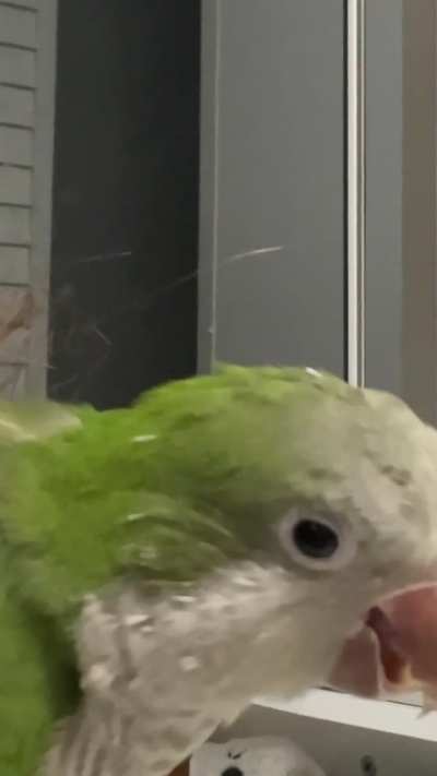 Help! Why is he doing this