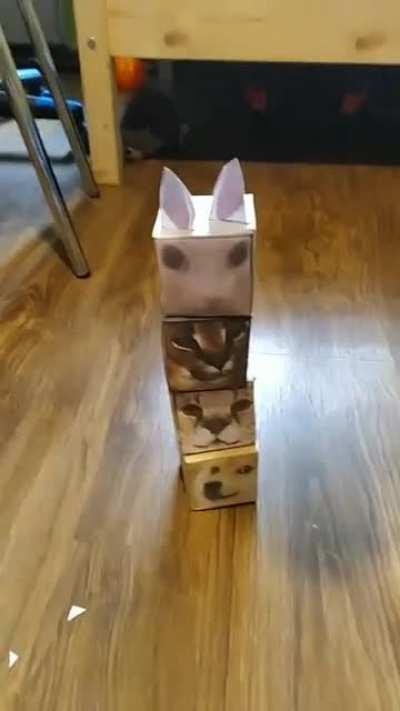 I’m tired of this stupid fucking game