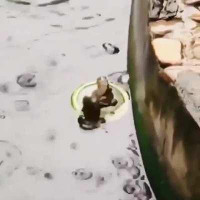 Won't stop until the job is done