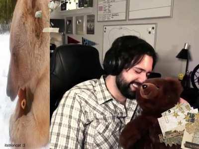 Edit of Wendigoon in the newest creepcast ep. !