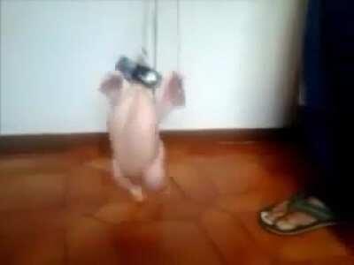 Ayuda quién me puede mandar el video donde dross dice 