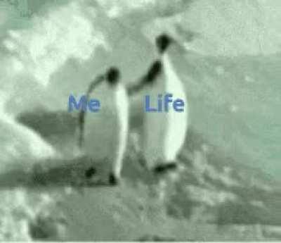 How are you all getting bfs like what am I doing wrong 