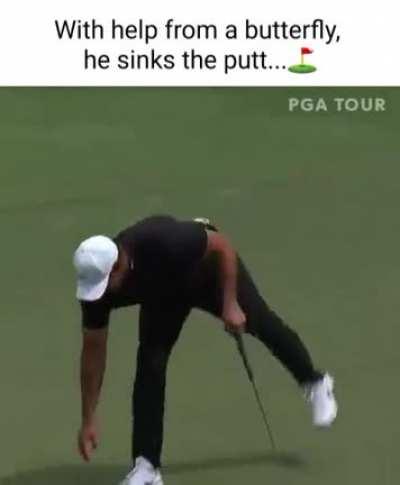 Butterfly following golf ball.